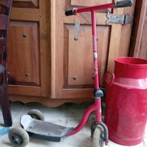 PATIN ANTIGUO